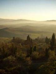 Retired War God Yang