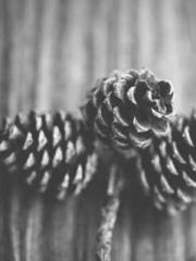 Rebirth in 1970: Eat