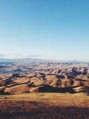 Cultivating My Empre