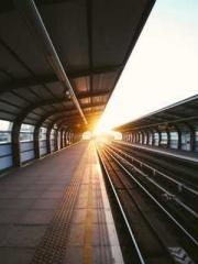 The Imperial Concubi