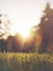 The Generalapos;s Hu