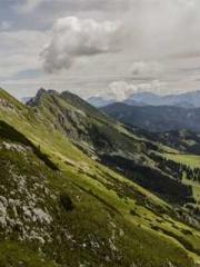 Falling for You: The