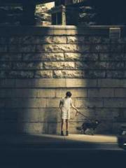 lt;lt;The Trash Husb