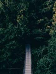 Lin Feng Lin Yun Yao