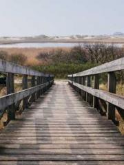 I Picked Up a Cultiv