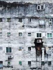 Cultivation God Domi