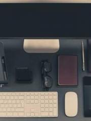 The Daring Wife of a