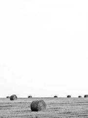 Rebirth of the Super