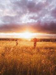 Su He Huo Chen Xi Fu