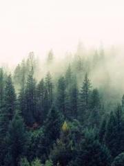 Dangerously Close to