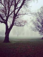 Great Sage of Humani