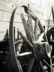 The Exclusive Daught