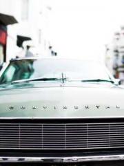 The Wife of My Heart