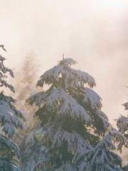 lt;The Dragon Discar