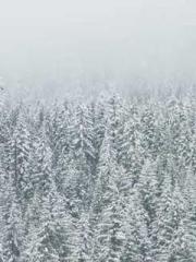 A Spicy Wife from th