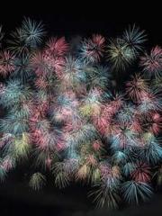 King of Nine Profoun