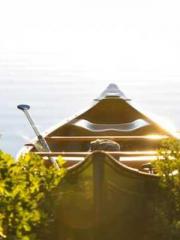 The Rebirth of a Phy