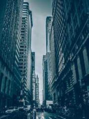 My Amazing Female Te