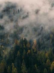 Retired War God Yang