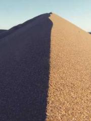 Wang Xuan Mu Qingyue