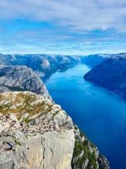 King of the Nine Pro