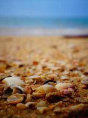 Meng Jinyu Gu Jingxi