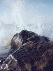 lt;Jingyuan Rong Sha