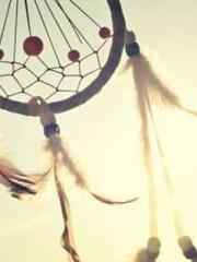 The Favorite Concubi